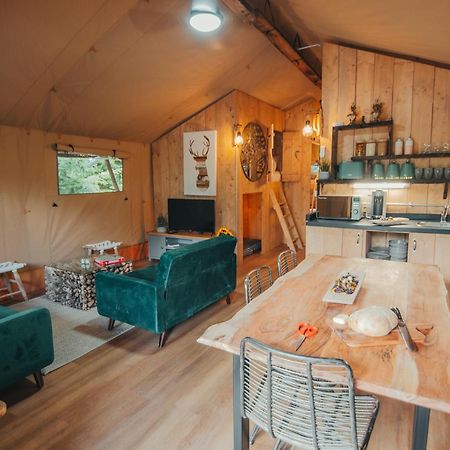 Cosy Forest Lodge Penrhos  エクステリア 写真