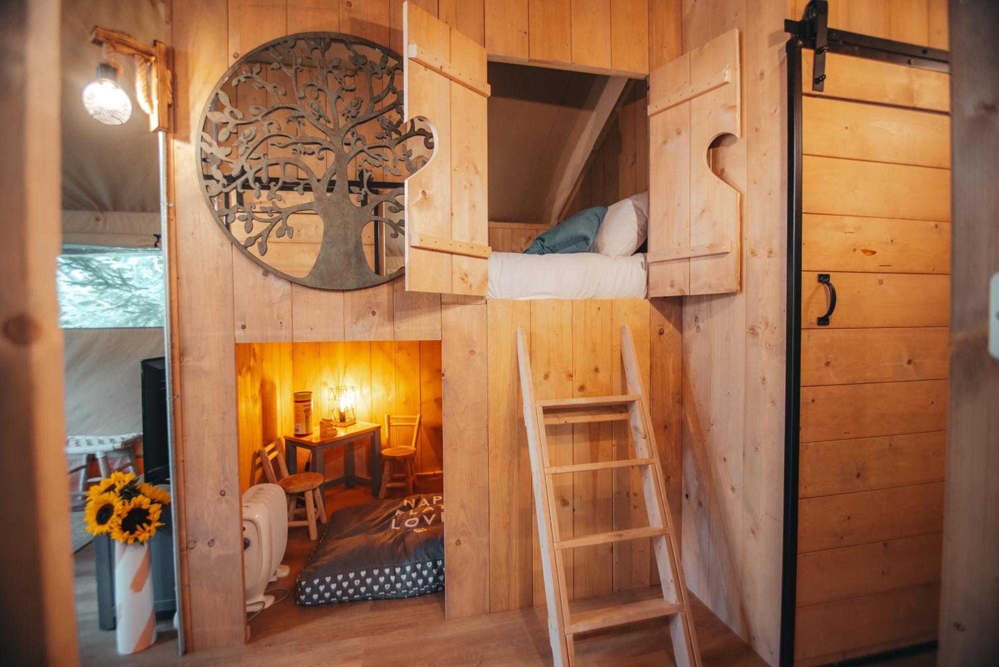 Cosy Forest Lodge Penrhos  エクステリア 写真