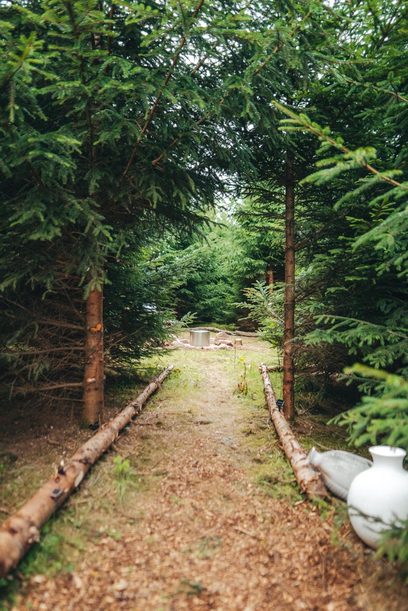 Cosy Forest Lodge Penrhos  エクステリア 写真