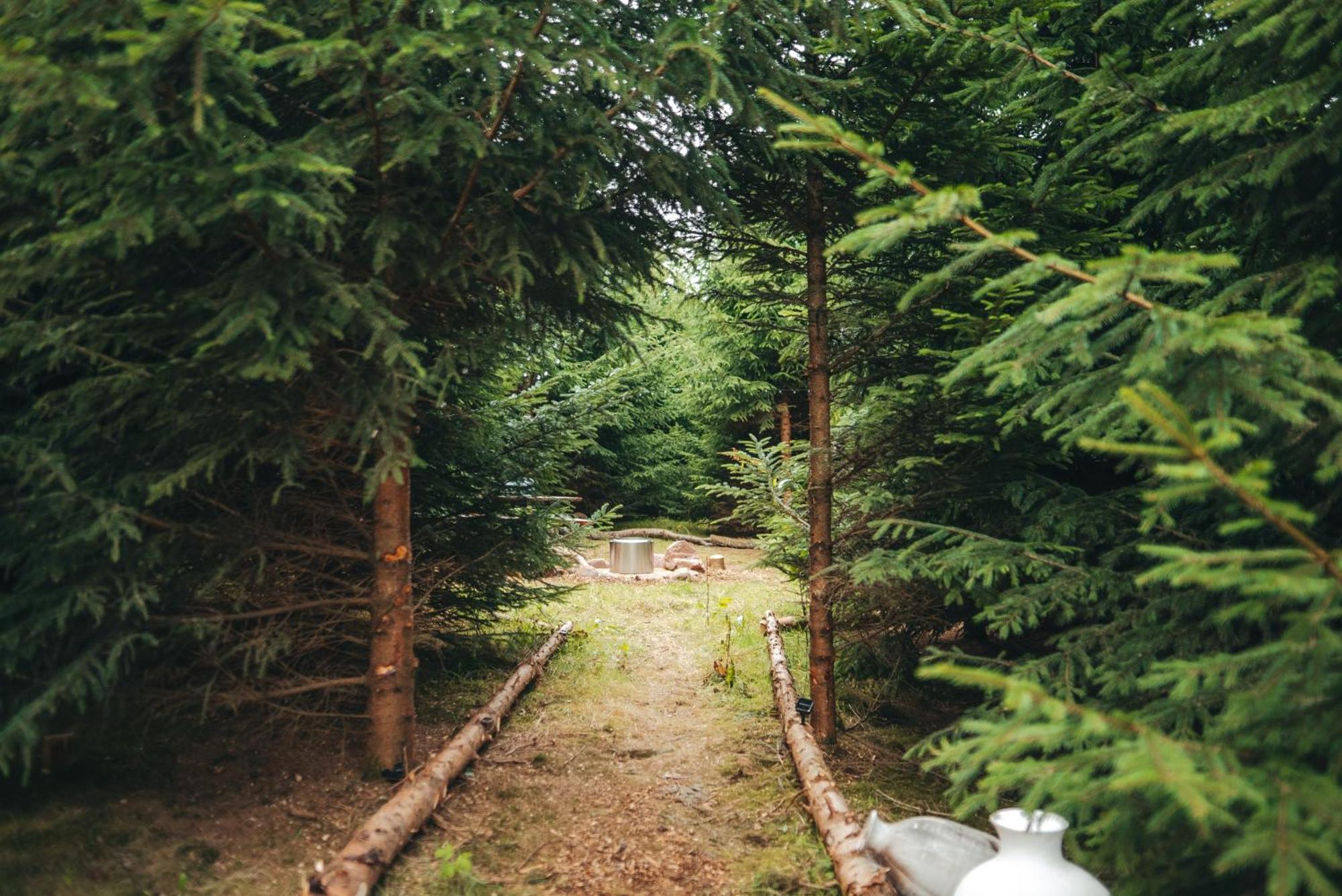Cosy Forest Lodge Penrhos  エクステリア 写真