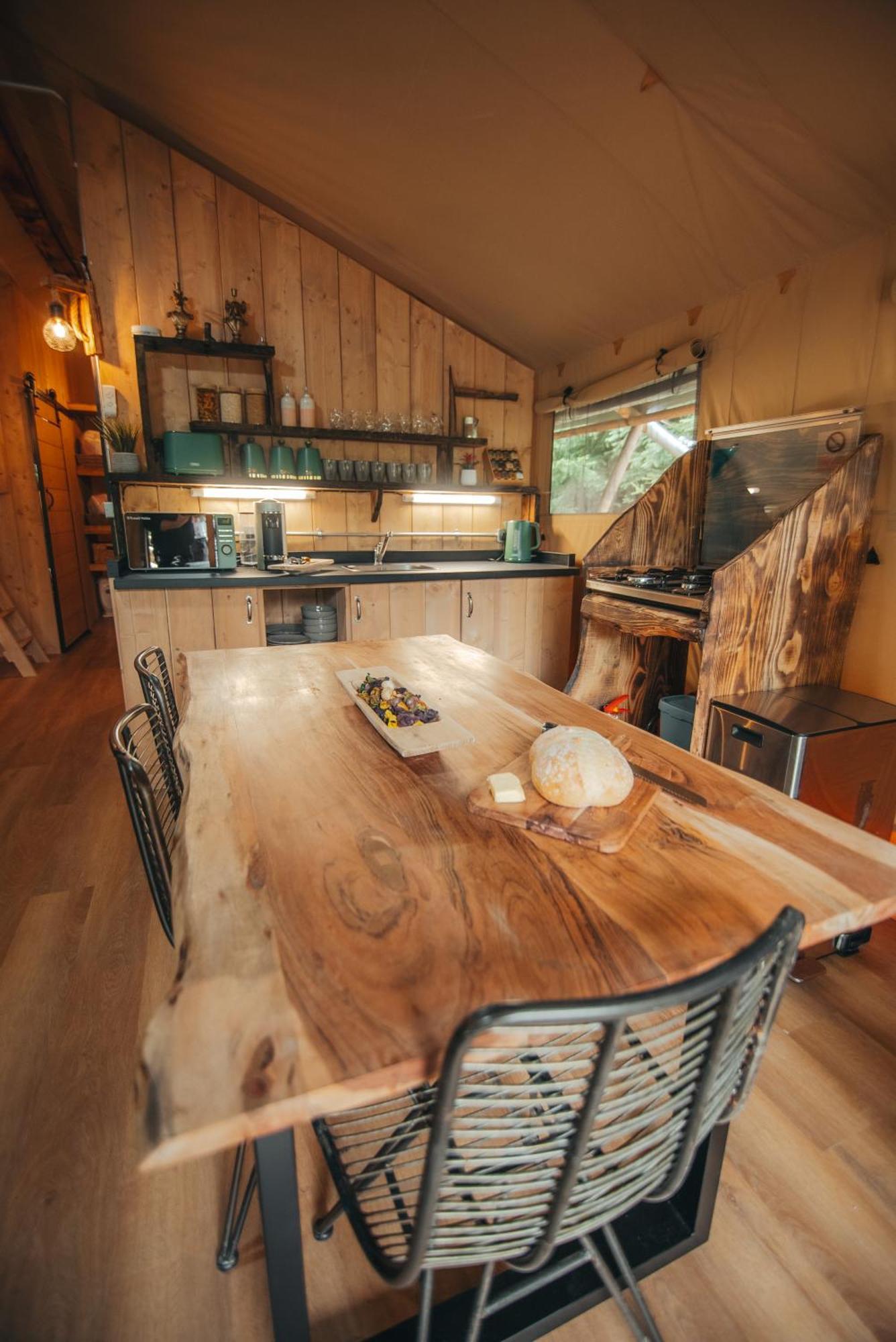 Cosy Forest Lodge Penrhos  エクステリア 写真