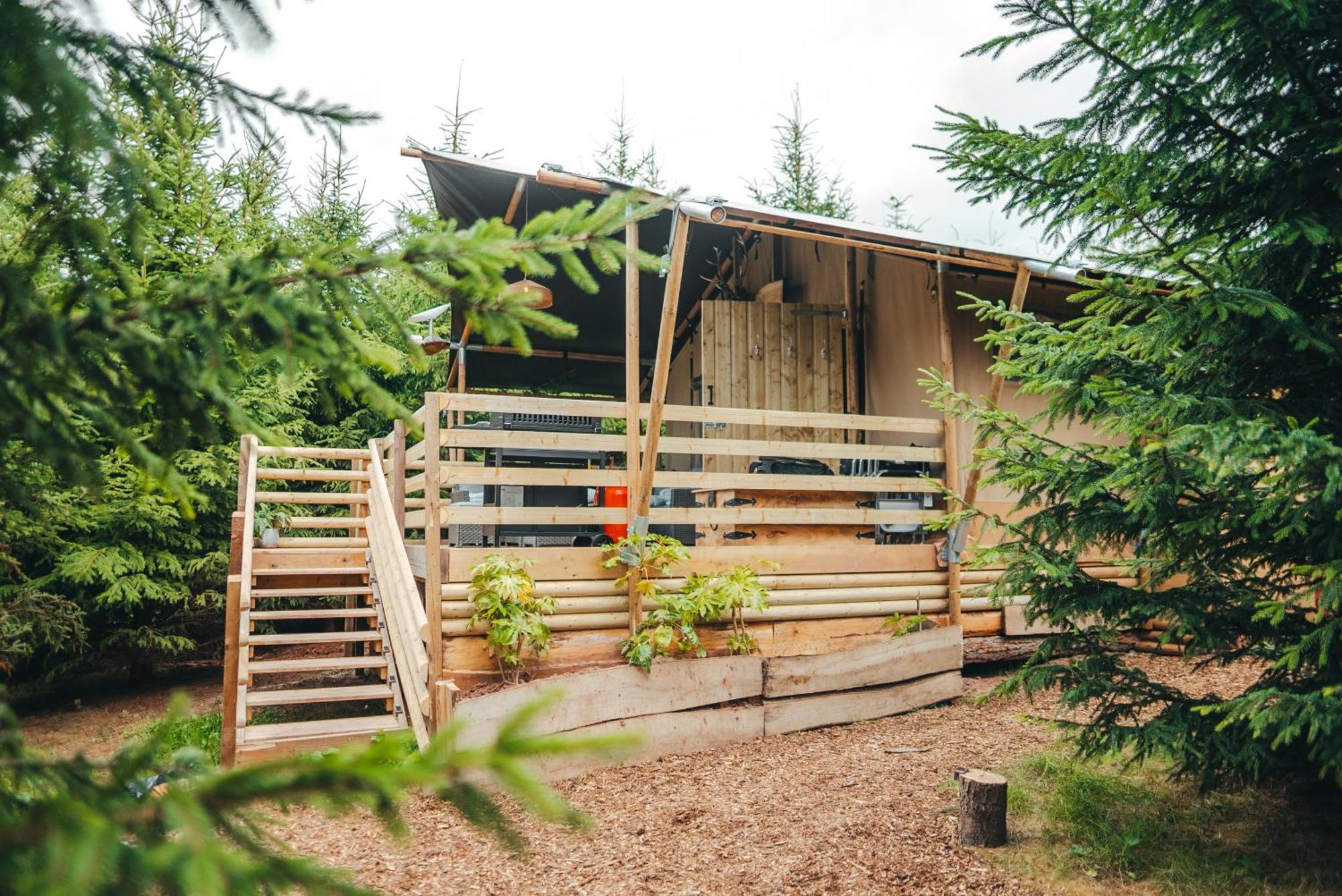 Cosy Forest Lodge Penrhos  エクステリア 写真