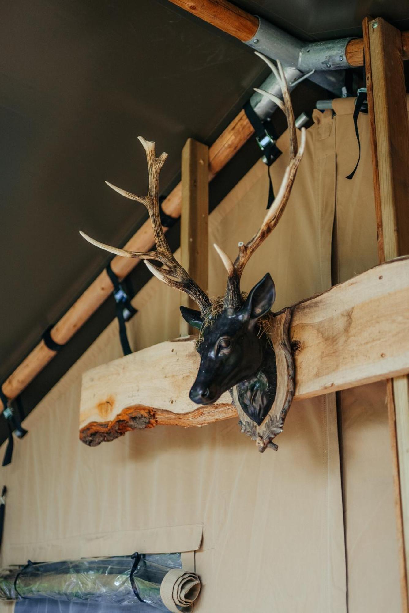 Cosy Forest Lodge Penrhos  エクステリア 写真