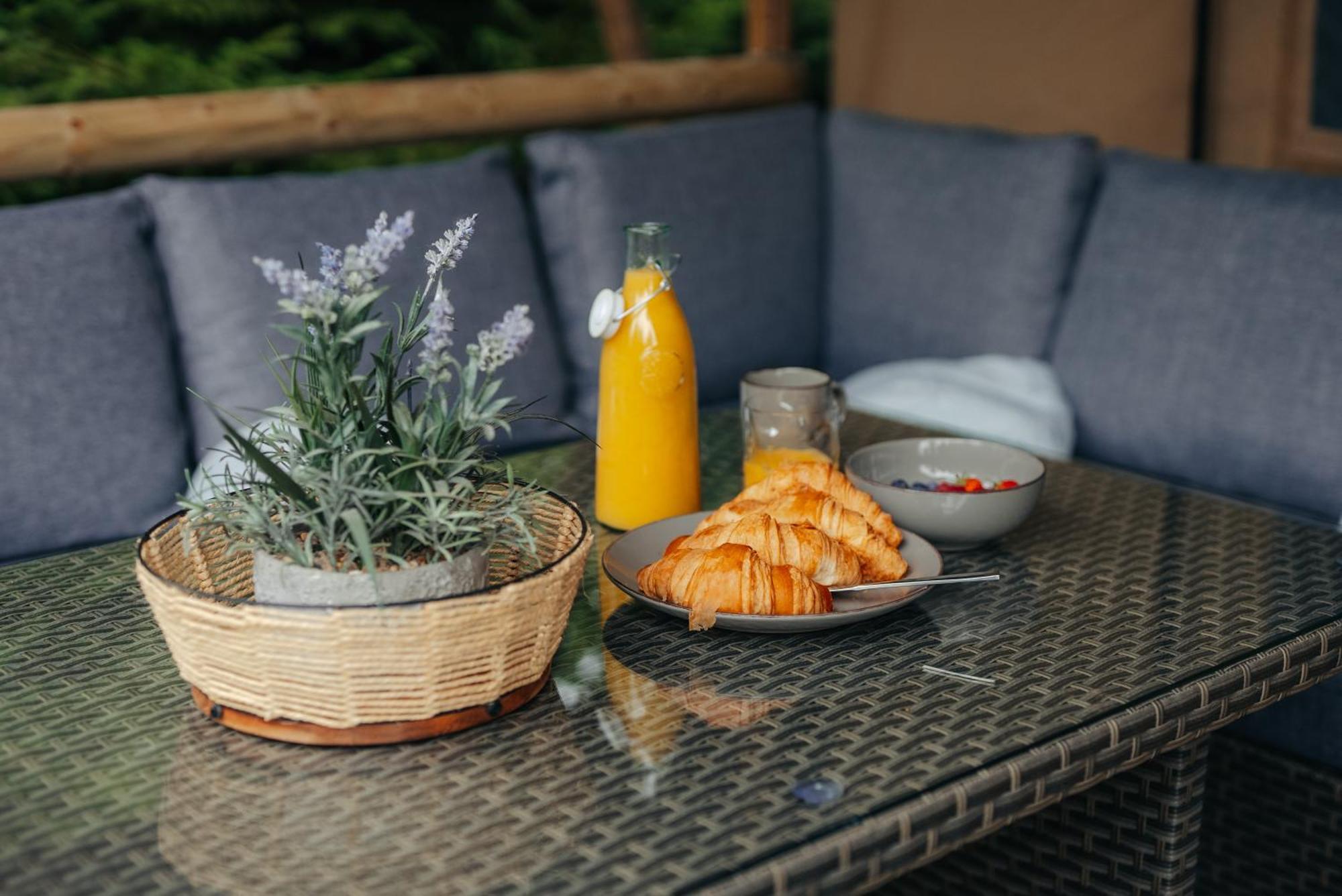 Cosy Forest Lodge Penrhos  エクステリア 写真